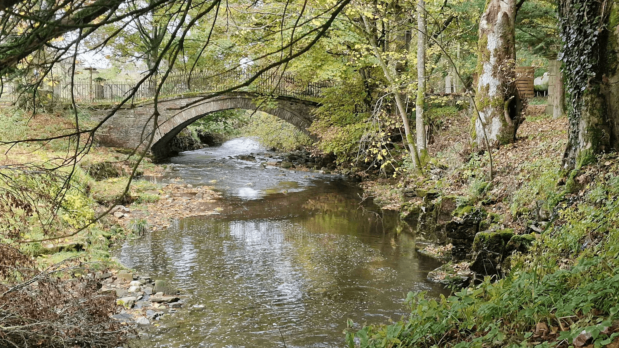 Lovelady Shield House6